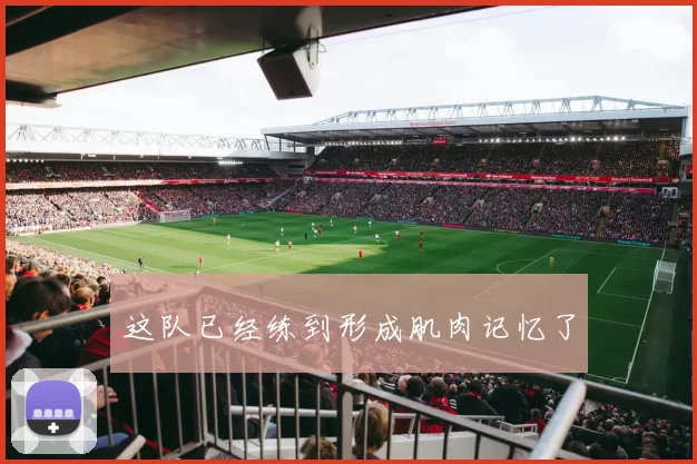 这队已经练到形成肌肉记忆了