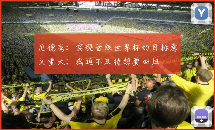 厄德高：实现晋级世界杯的目标意义重大；我迫不及待想要回归