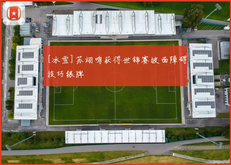 [冰雪]苏翊鸣获得世锦赛坡面障碍技巧银牌