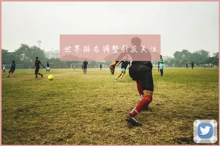 世界排名调整引发关注