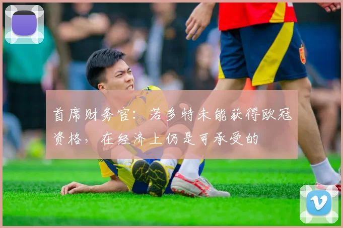 首席财务官：若多特未能获得欧冠资格，在经济上仍是可承受的