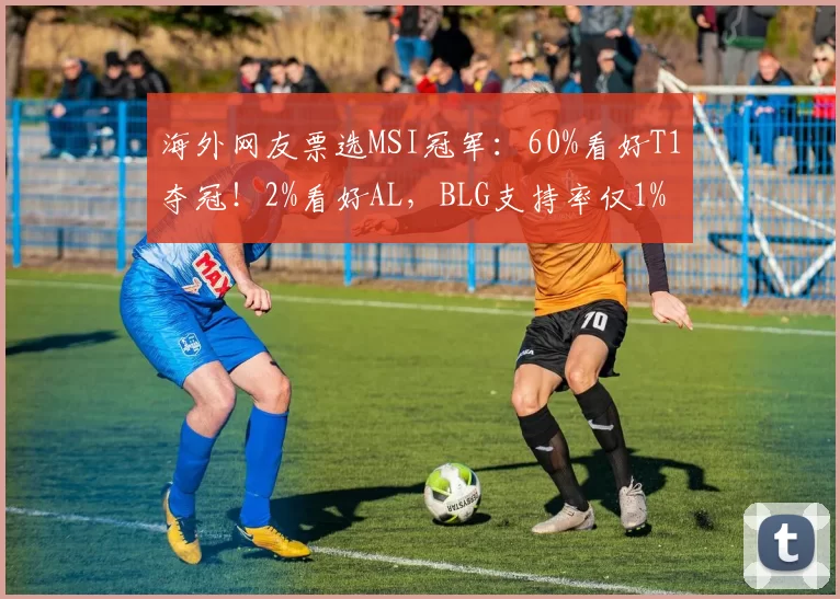 海外网友票选MSI冠军：60%看好T1夺冠！2%看好AL，BLG支持率仅1%