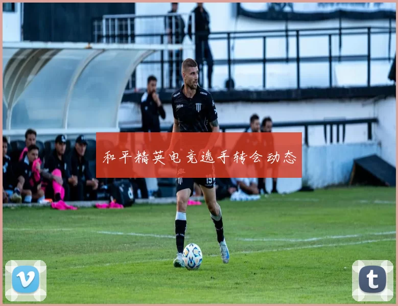 和平精英电竞选手转会动态